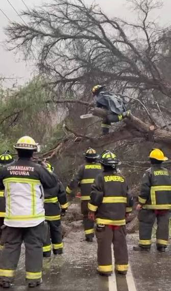 Capacitación Forestal